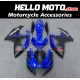 Suzuki GSX-R 600/750 2006-2007 Fairing P/N 2D122
