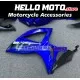 Suzuki GSX-R 600/750 2006-2007 Fairing P/N 2D102 Suzuki GSX-R 600/750 2006-2007 Fairing P/N 2D102