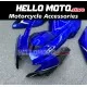 Suzuki GSX-R 600/750 2006-2007 Fairing P/N 2D102 Suzuki GSX-R 600/750 2006-2007 Fairing P/N 2D102