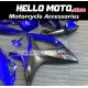 Suzuki GSX-R 600/750 2006-2007 Fairing P/N 2D66