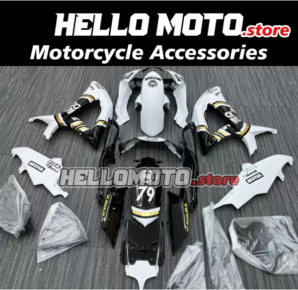 Suzuki GSX-R 600/750 2008-2010 Fairing P/N 2E1