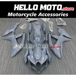 Suzuki GSX-R 600/750 2008-2010 Fairing P/N 2E19