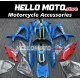 Suzuki GSX-R 600/750 2008-2010 Fairing P/N 2E20