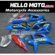 Suzuki GSX-R 600/750 2008-2010 Fairing P/N 2E20