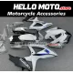 Suzuki GSX-R 600/750 2008-2010 Fairing P/N 2E38