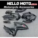 Suzuki GSX-R 600/750 2008-2010 Fairing P/N 2E51