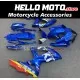 Suzuki GSX-R 600/750 2008-2010 Fairing P/N 2E53