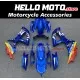 Suzuki GSX-R 600/750 2008-2010 Fairing P/N 2E53