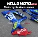 Suzuki GSX-R 600/750 2008-2010 Fairing P/N 2E59
