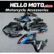 Suzuki GSX-R 600/750 2008-2010 Fairing P/N 2E67