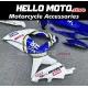 Suzuki GSX-R 600/750 2008-2010 Fairing P/N 2E55 Suzuki GSX-R 600/750 2008-2010 Fairing P/N 2E55