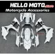 Suzuki GSX-R 600/750 2008-2010 Fairing P/N 2E57