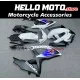 Suzuki GSX-R 600/750 2008-2010 Fairing P/N 2E45 Suzuki GSX-R 600/750 2008-2010 Fairing P/N 2E45