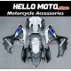 Suzuki GSX-R 600/750 2008-2010 Fairing P/N 2E45 Suzuki GSX-R 600/750 2008-2010 Fairing P/N 2E45