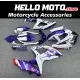 Suzuki GSX-R 600/750 2008-2010 Fairing P/N 2E58 Suzuki GSX-R 600/750 2008-2010 Fairing P/N 2E58