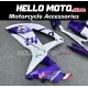 Suzuki GSX-R 600/750 2008-2010 Fairing P/N 2E58 Suzuki GSX-R 600/750 2008-2010 Fairing P/N 2E58