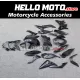 Suzuki GSX-S 750 2017-2024 Fairing P/N 2Y6