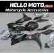 Suzuki GSX-250R 2017-2026 Fairing P/N 2Q2