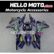 Suzuki GSX-250R 2017-2026 Fairing P/N 2Q3