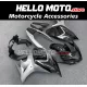 Suzuki GSX650F 2008-2016 Fairing P/N 2V1 Suzuki GSX650F 2008-2016 Fairing P/N 2V1