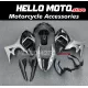 Suzuki GSX650F 2008-2016 Fairing P/N 2V1 Suzuki GSX650F 2008-2016 Fairing P/N 2V1
