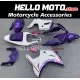 Suzuki SV650S/1000S 2003-2011 Fairing P/N 2AB2