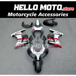 Suzuki SV650S/1000S 2003-2011 Fairing P/N 2AB3