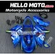 Suzuki TL1000R 1998-2003 Fairing P/N 2R3