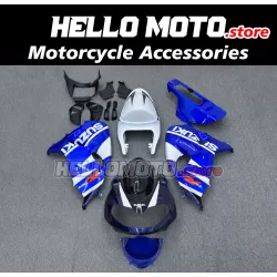 Suzuki TL1000R 1998-2003 Fairing P/N 2R16