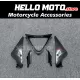 Triumph Daytona 675 2006-2008 Fairing P/N 8B2 Triumph Daytona 675 2006-2008 Fairing P/N 8B2