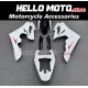 Triumph Daytona 675 2009-2012 Fairing P/N 8C2