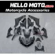 Yamaha YZF-R125 2019-2024 Fairing P/N 3AN5