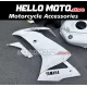 Yamaha YZF-R125 2019-2024 Fairing P/N 3AN5