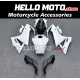 Yamaha YZF-R125 2019-2024 Fairing P/N 3AN5