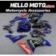 Yamaha YZF-R15 2018-2024 Fairing P/N 3AM5