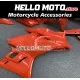 Yamaha YZF-R3/R25 2019-2024 Fairing P/N 3AG19