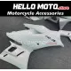 Yamaha YZF-R3/R25 2019-2024 Fairing P/N 3AG29