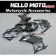 Yamaha YZF-R3/R25 2019-2024 Fairing P/N 3AG1