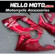 Yamaha YZF600R Thundercat 1996-2007 Fairing P/N 3P4 Yamaha YZF600R Thundercat 1996-2007 Fairing P/N 3P4