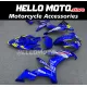 Yamaha YZF-R1 2004-2006 Fairing P/N 3D17