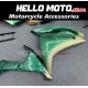 Yamaha YZF-R1 2007-2008 Fairing P/N 3E22