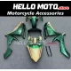 Yamaha YZF-R1 2007-2008 Fairing P/N 3E22