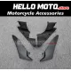 Yamaha YZF-R1 2009-2011 Fairing P/N 3F4