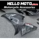 Yamaha YZF-R1 2009-2011 Fairing P/N 3F21