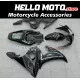 Yamaha YZF-R6 2003-2005 / R6S 2006-2009 Fairing P/N 3K1
