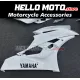 Yamaha YZF-R6 2006-2007 Fairing P/N 3L44