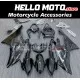 Yamaha YZF-R6 2008-2016 Fairing P/N 3M16