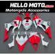 Yamaha YZF-R6 2008-2016 Fairing P/N 3M55