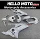 Yamaha YZF-R6 2017-2025 Fairing P/N 3N15