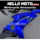 Yamaha YZF-R6 2017-2025 Fairing P/N 3N30